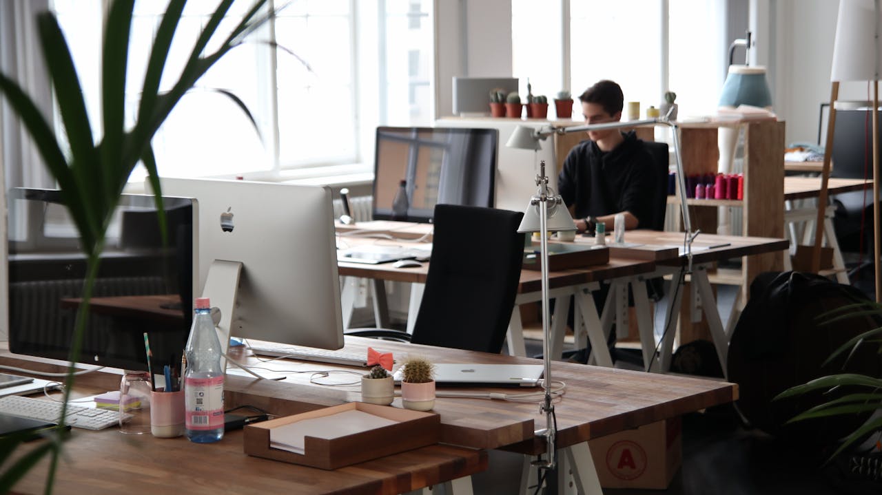 Senior Designer